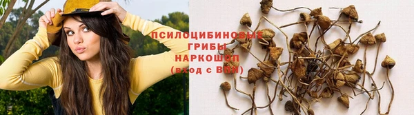 ешки Абаза