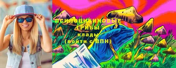 ешки Абаза