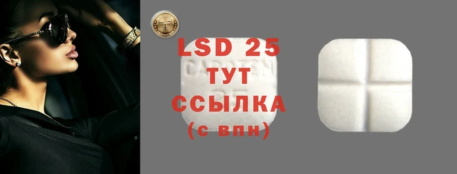 ешки Абаза