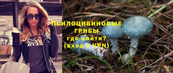 ешки Абаза