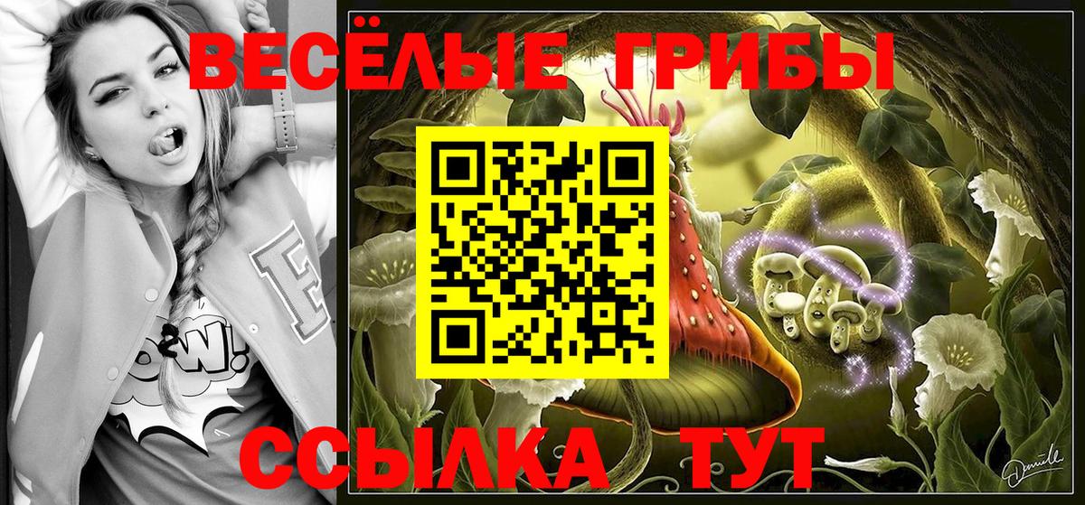 Галлюциногенные грибы MAGIC MUSHROOMS Рязань
