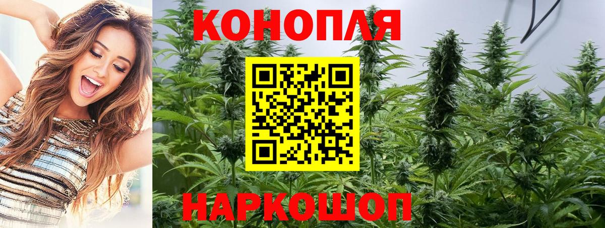 Марихуана сатива  Каннабис Ganja  Рязань  Марихуана ГИДРОПОН  Вход с VPN 